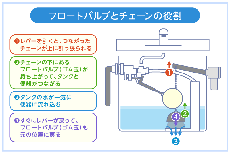 トイレタンク内部におけるフロートバルブやチェーンの役割を図解