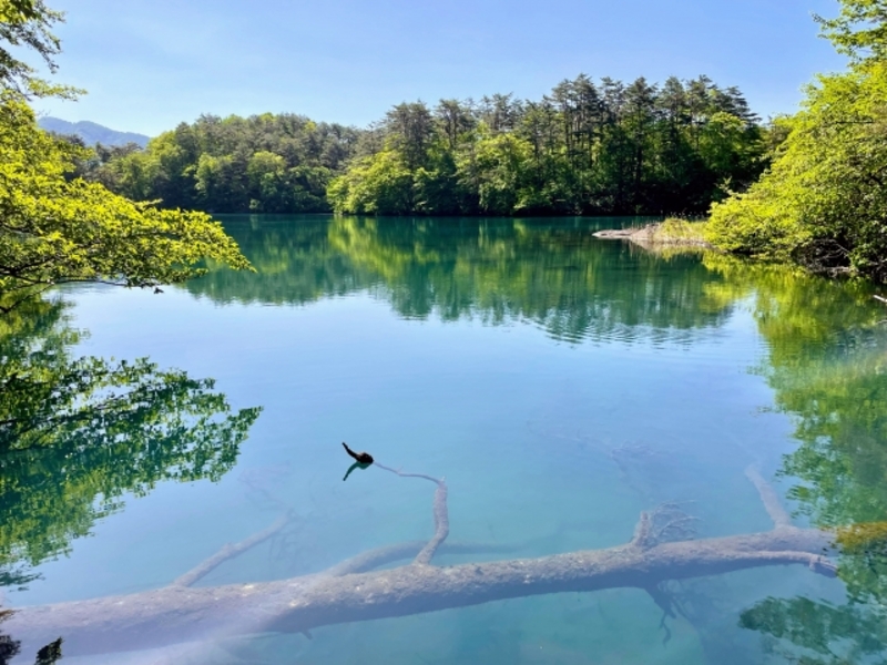 福島県の水不足を調査中