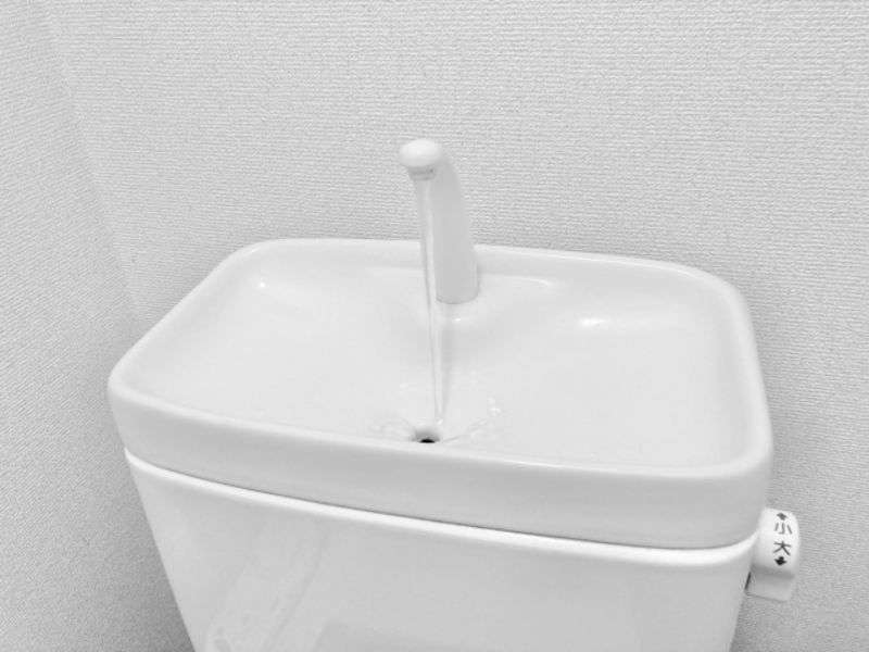 トイレタンクの浮き玉交換を計画中